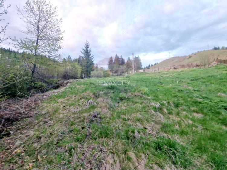 Teren cu vedere la Muntele Ceahlau - 13