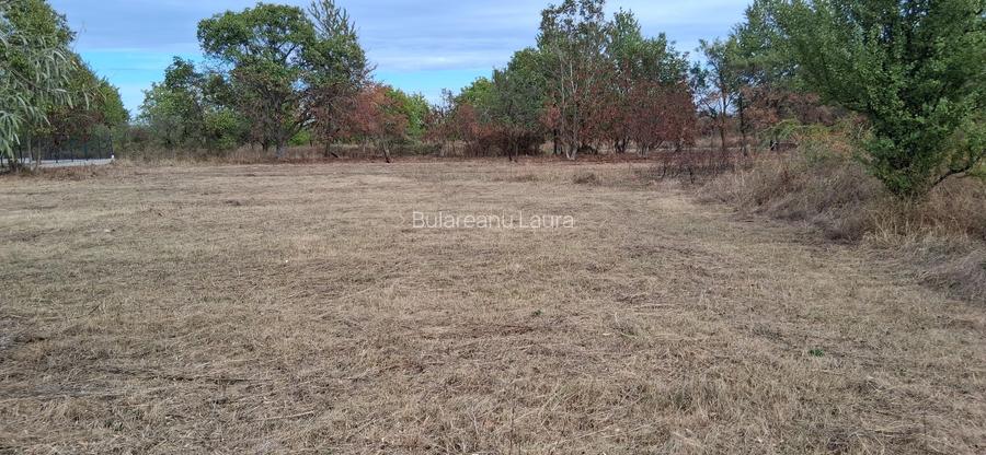 Teren intravilan 836 mp , deschidere 24 ml , zona linistita - 6