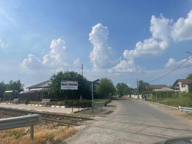 Vanzare teren intravilan Cernica_Tânganu, lot 954mp - 8