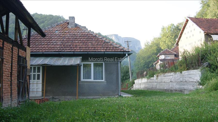 10 hectare teren plus casa la munte in Buces, Hunedoara - 2