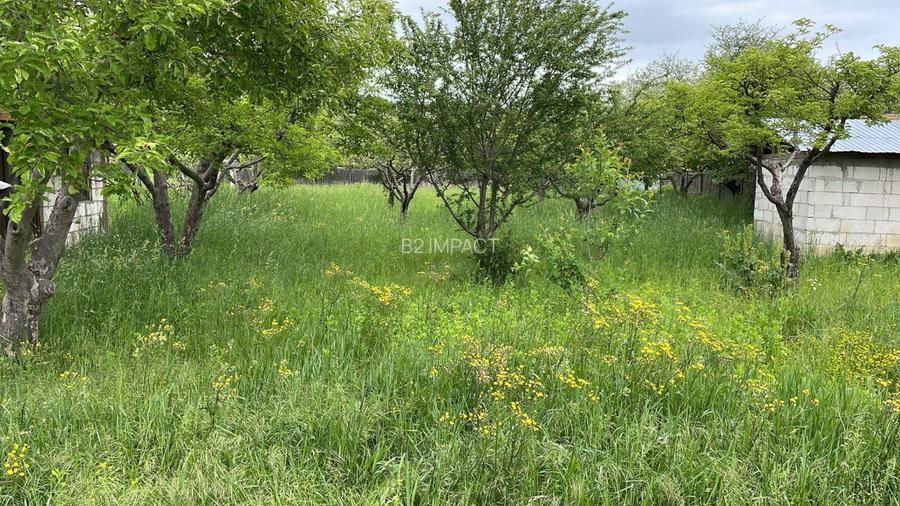 Casa P+M Comanesti, jud. Bacau - 4