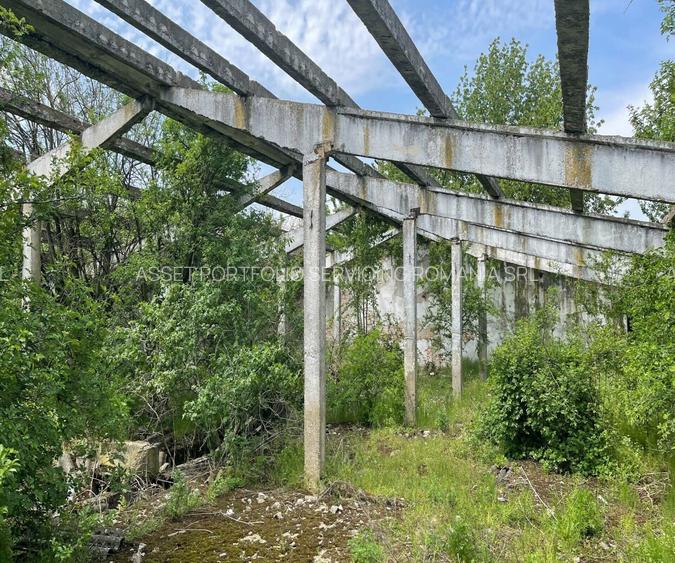 Abator pasari - Nadlac, Arad - 4