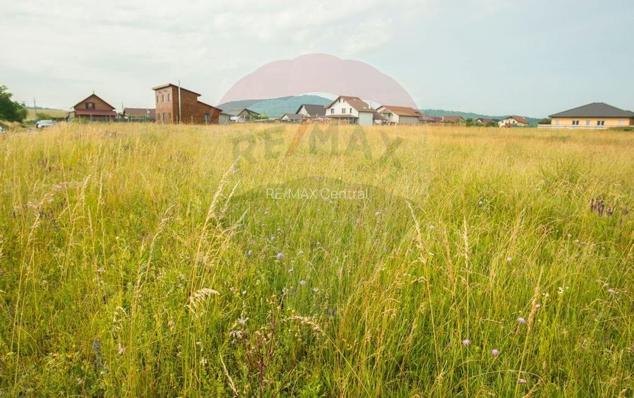 Teren Bod -Strada Harmanului, 732mp, posibil 1098mp/ 2196mp, utilitati - 16