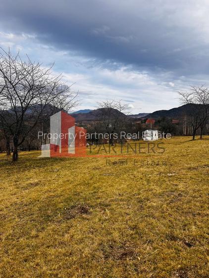 Teren 1000 mp Bran/ Sohodol - 6