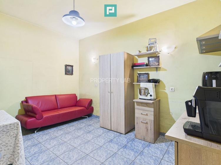 Casă individuală cu teren,  Andrei Șaguna -Traian - 6