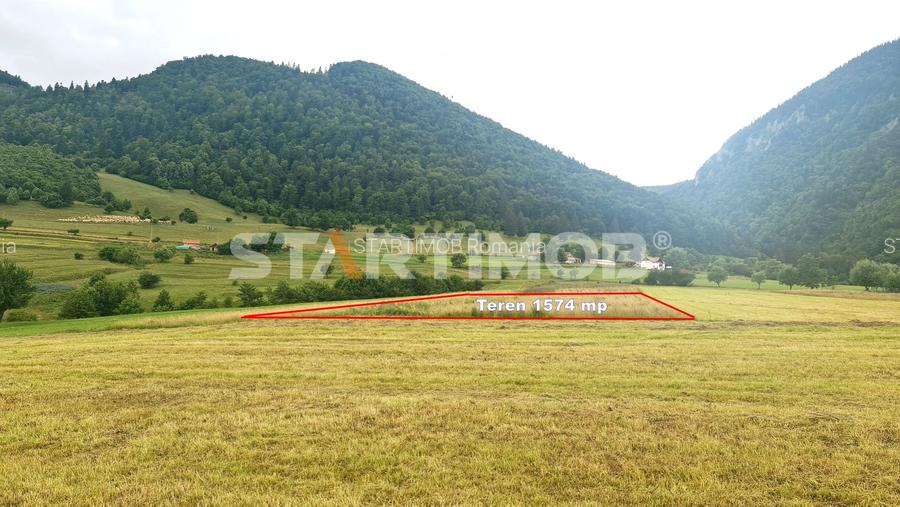 Teren intravilan Zarnesti - 12