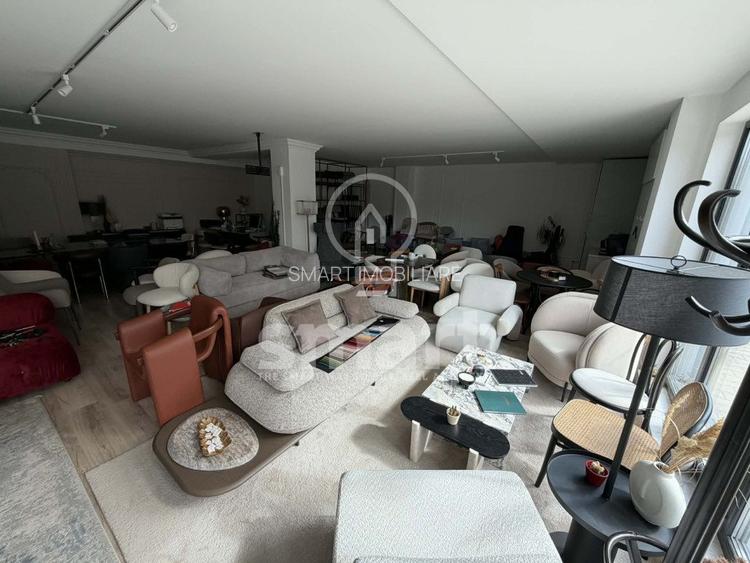 Spatiu comercial cu vitrina Zorilor - 2