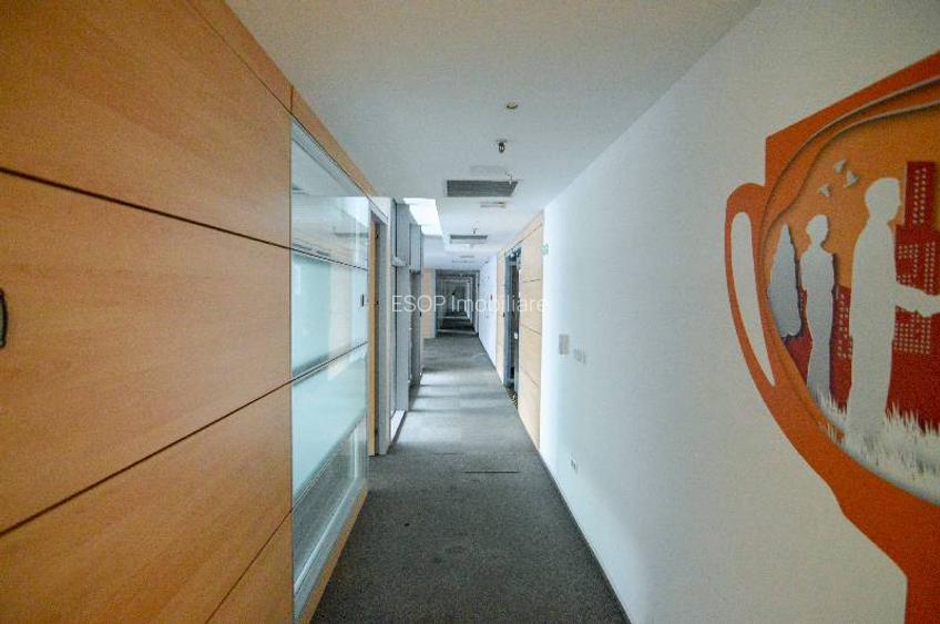 RAMS Business Center, Basarabia, 200 - 1753 mp  0% comision! - 14