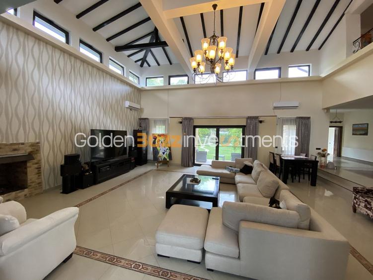 Vila superba - 7 camere - vanzare - Iancu Nicolae - Padurea Baneasa