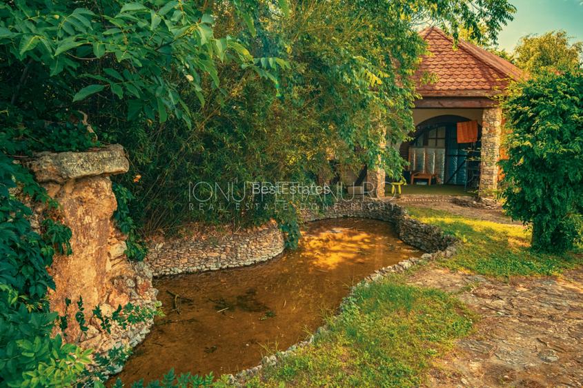 Casa superba cu vedere la lac in Izvorani – piscina, natura,si potential imens! - 9