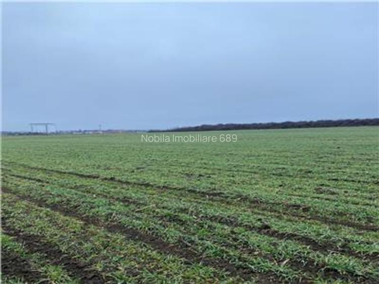 Teren Intravilan 28.000 mp în One?ti – pentru Investi?ii Industriale si  Co - 4