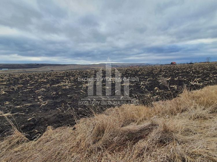 Teren extravilan | De vanzare | 1300 mp | 25 ml deschidere | Ciugud - 3