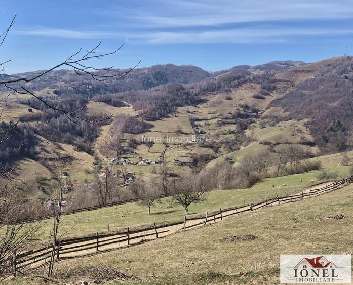 Casa de vanzare in Bistra - Apuseni - 9