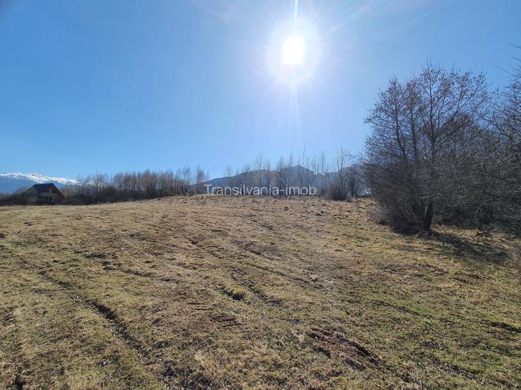 Teren rezidential Bran – Tohanita zona de case - 4
