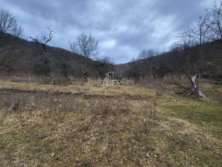 Teren de vanzare intravilan, 10 000 Mp , Sighisoara - 6