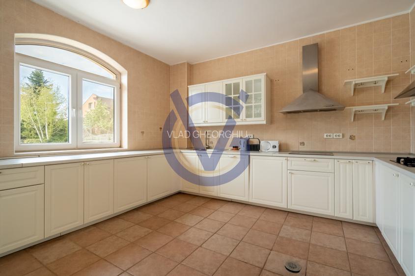 Domeniu 4168 mp. la Lac, cu Parc si Vila Grandioasa, in S1 Bucuresti-COMISION 0% - 54