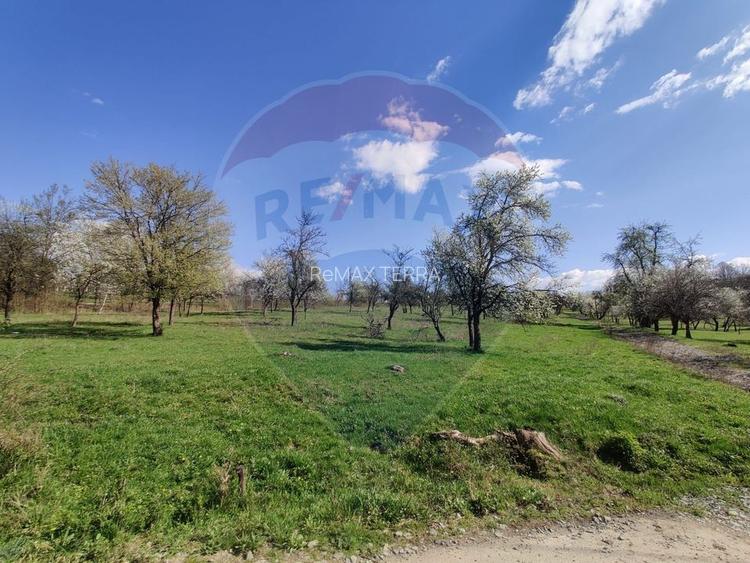 Teren intravilan pentru casă Cărbunari - 7