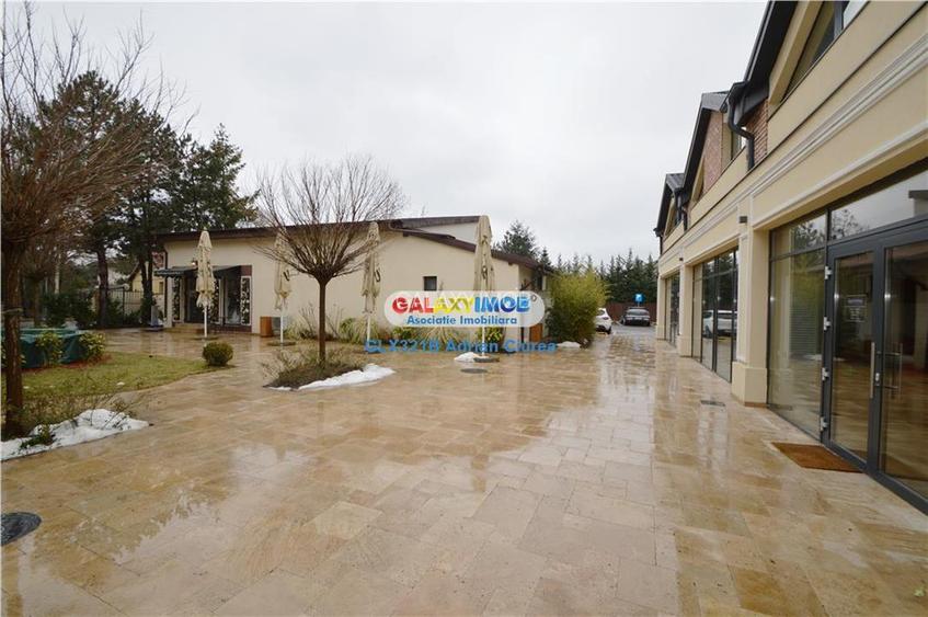 Spatiu comercial 100mp I Corbeanca | Paradisul Verde | Parcare - 4