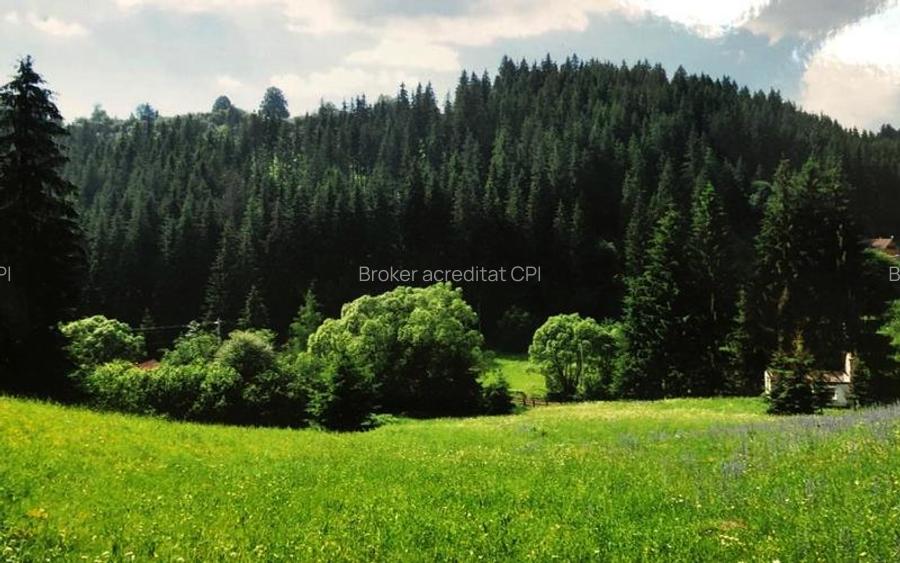 Teren intravilan si padure de brad 34.000 mp Varsag, Harghita - 7