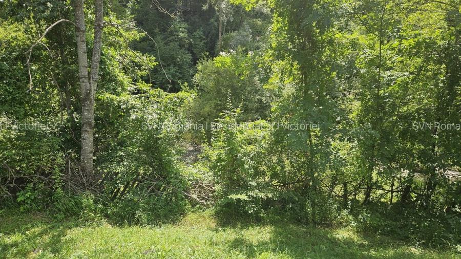 REL4001173 Teren de vanzare in Valea Doftanei - 9