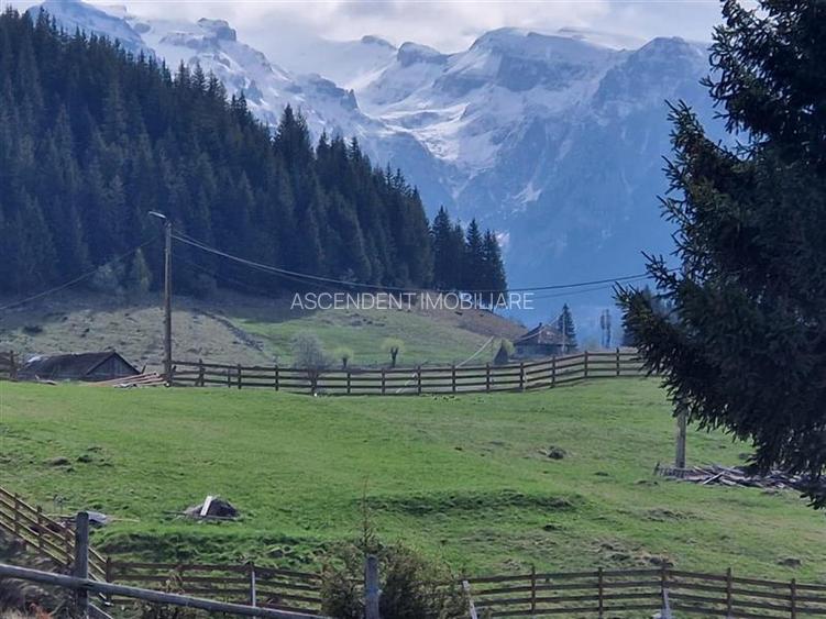 7.000 mp, pozitie spectaculoasa, fara vecini, Fundatica, Brasov - 21