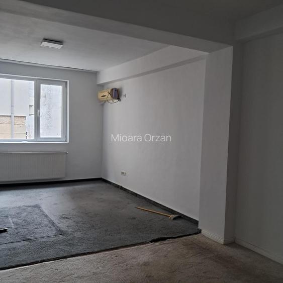 Piata Muncii –Calea Calarasilor,vila 12 camere, suprafata 370mp,curte 150mp - 4