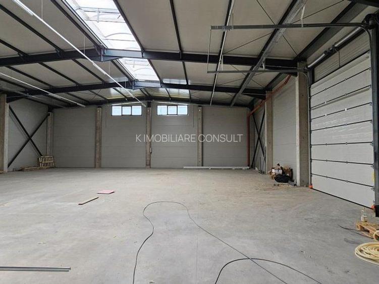 Pantelimon DN3 hala 600 mp - 3