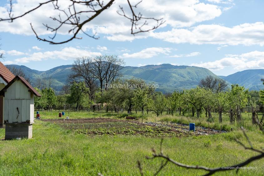 🏡 Oportunitate Unică pe Via Transilvanica | Domeniu superb cu 2 CASE și Grădină - 3