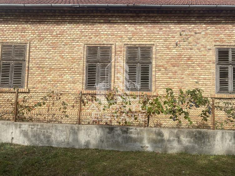 Oportunitate de investitie,în Dragsina,teren 9096 mp. - 3