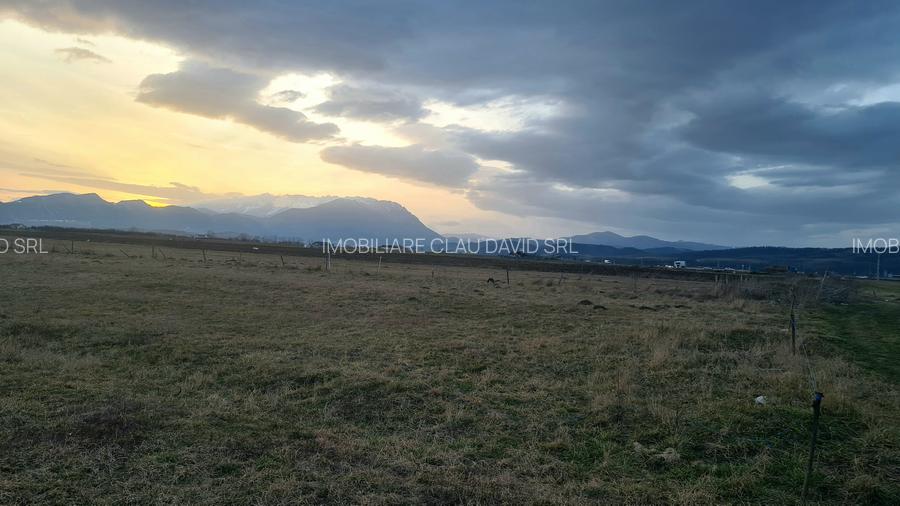 TEREN 1049 mp - INTRAVILAN DE CONSTRUCTII - 7