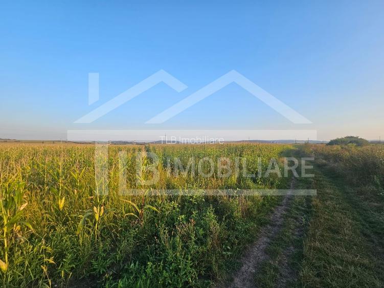 Teren intravilan, 1476 mp, Zona Ungheni - 4