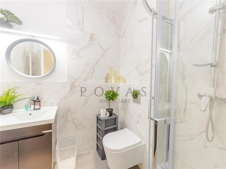 Inchiriere Apartament 3 Camere Erou Iancu Nicolae - 7