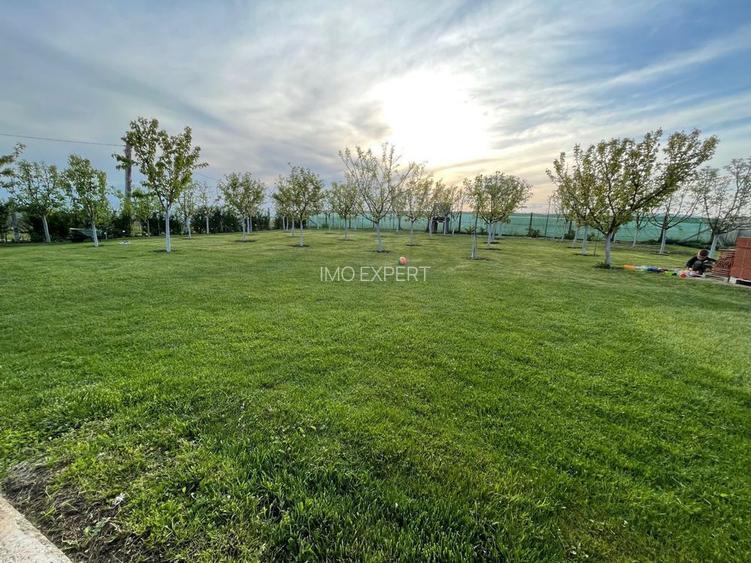 Cabana de lemn, 2 camere, teren 850 mp, livada, Oarda, Alba Iulia - 6