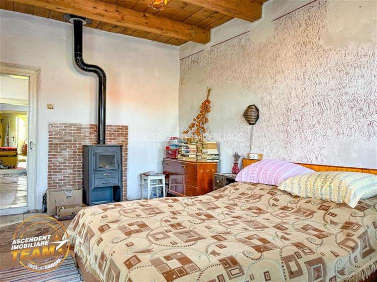 FILM! Proprietate traditionala,de poveste,cu 3.000 mp teren intravilan,Zagon,Cov - 13