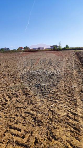 Teren 3187 mp intravilan de vânzare Oradea Nufarul zona Petru Maior - 6