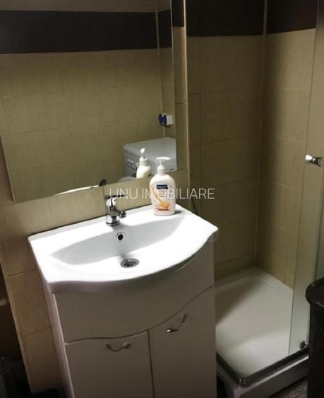 Apartament cu 1 camera - zona Podu Ros - Vis a vis de ANAF  - Pet Friendly - 4