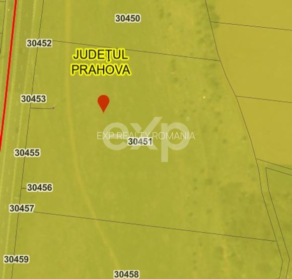Teren DN1 Băicoi 18.557 mp – dublu acces, ideal dezvoltare - 3