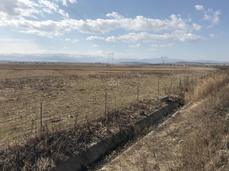 Teren de vanzare 20.000 mp pretabil benzinarie centura, direct de la proprietar! - 5