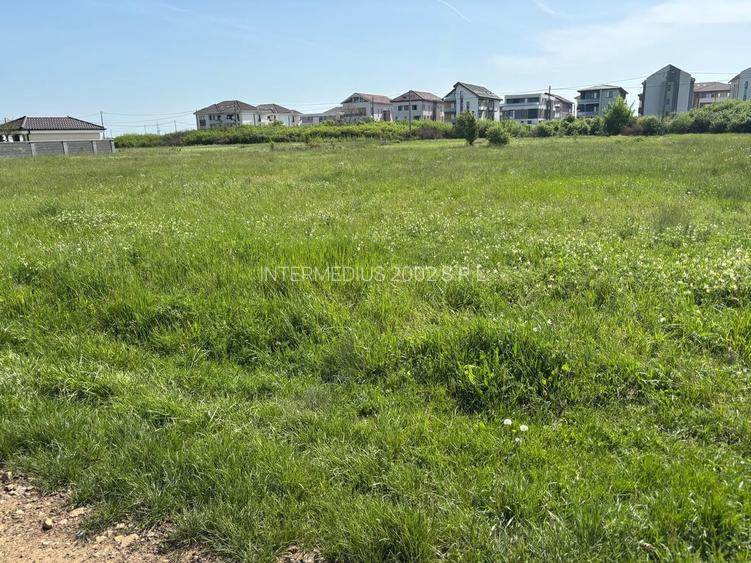 Teren 1239 mp front 29 in Aradul nou - 4