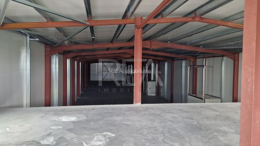 Hala 970 m.p. + 200m.p. Birouri | Temperatura controlata | Pallady/Oxigenului - 4