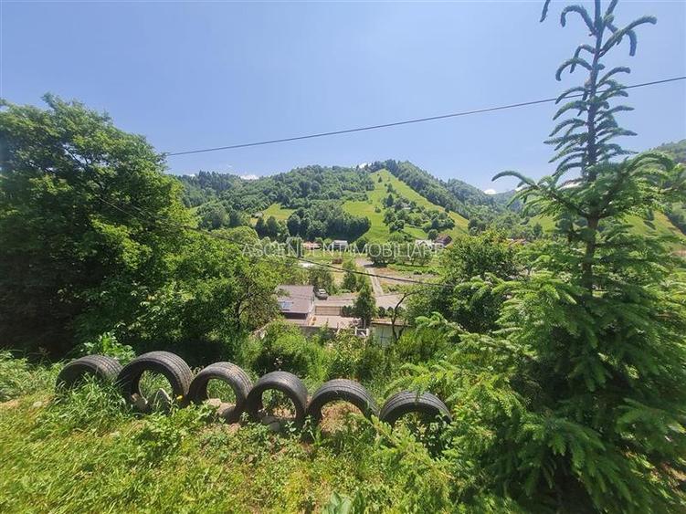 View superb:intravilan,constructie rezidenta/hotel,2.327 mp,Moieciu de Jos, Bran - 31