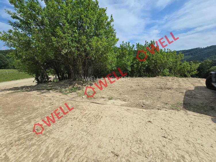 De vânzare teren intravilan în localitatea Scrădoasă! - 2