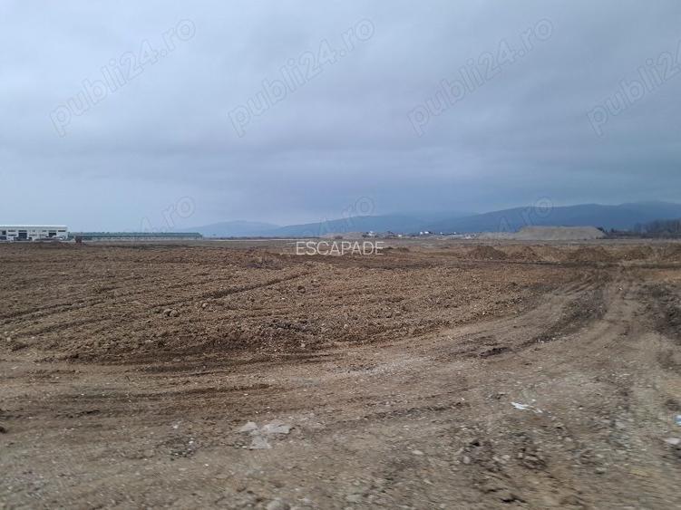 Teren intravilan 1450 mp – Carpiniș , Ideal pentru casă de locuit - 8