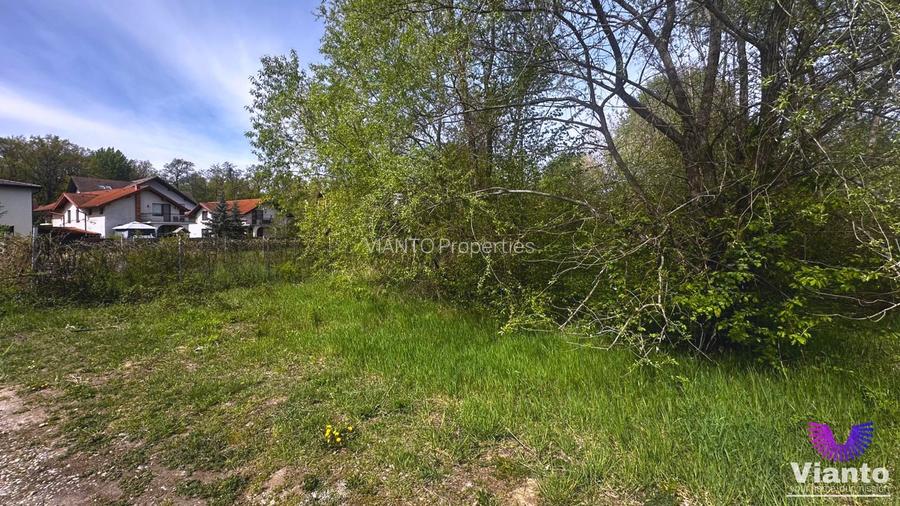 TEREN INTRAVILAN  PREMIUM 617MP | PADUREA DUMBRAVA - 4