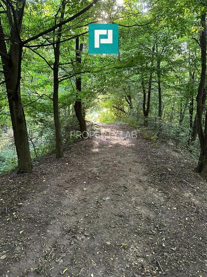 Teren Intravilan, în orașul Sebiș, Arad - 31