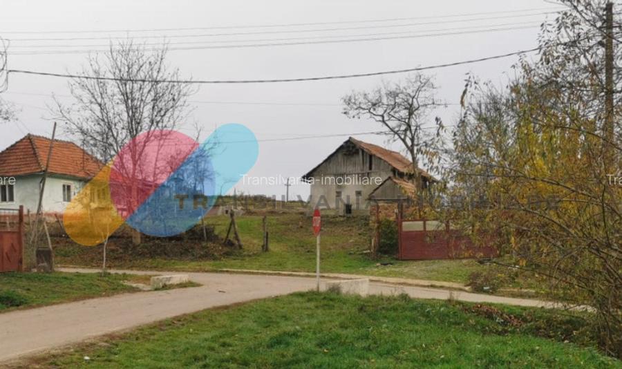 Casa individuala 1 camera, 51 mp, 3000 mp teren, Geaca - 5