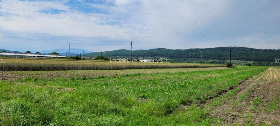 TEREN AGRICOL BABENI LANGA ABATOR LA PROVINCIA - pretabil ferma cu panour solare - 3