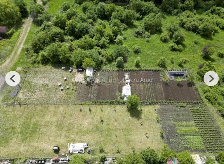 Teren 906 mp Arad,  preț sub localitățile limitrofe. - 7