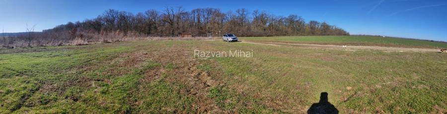 2x Intravilane la marginea Pădurii, zonă Superbă și Liniștită, sat Cultural - 7