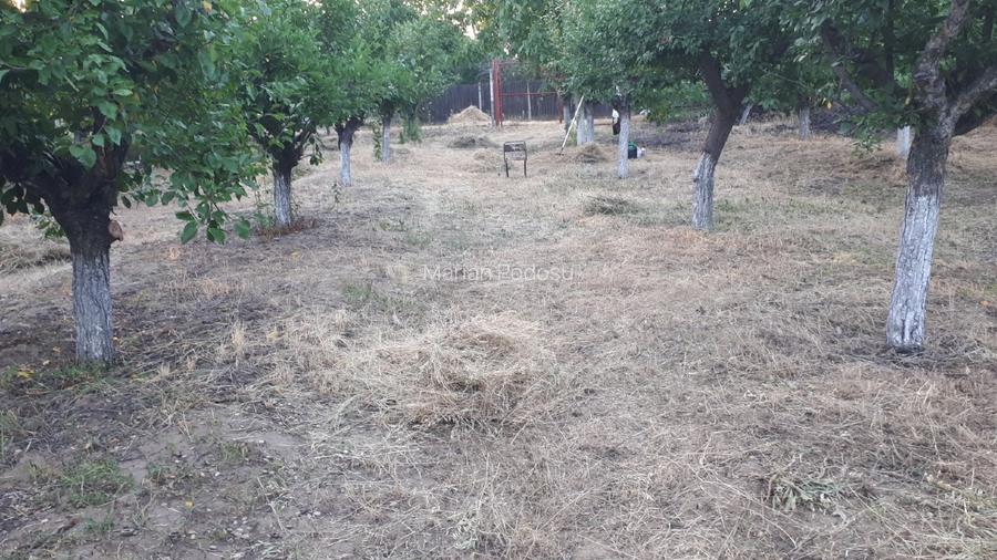 Teren de vânzare în zona Merei/Buzau - 2